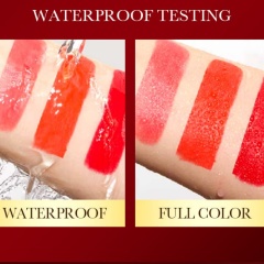 Velvet Matte Lipstick, Non-Fade Texture Cosmetic Lipstick OEM Manufacturer & Supplier,Velvet Matte Lipstick, Non-Fade Texture Cosmetic Lipstick OEM Manufacturer & Supplier 
