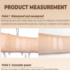 15-Color Foundation Concealer Contour Cream In Stock Wholesale Facial Concealer Liquid Foundation,15-Color Foundation Concealer Contour Cream In Stock Wholesale Facial Concealer Liquid Foundation 