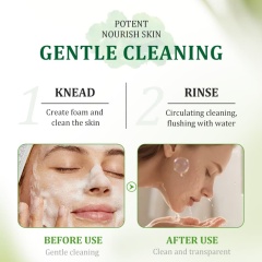 Centella Asiatica Facial Cleanser | Deep Clean Pores, Calm Irritated Skin & Control Excess Oil,Centella Asiatica Facial Cleanser | Deep Clean Pores, Calm Irritated Skin & Control Excess Oil 