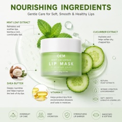 Mint Cucumber Sleeping Lip Mask | 6-in-1 Overnight Care to Hydrate, Repair & Plump Lips Naturally,Mint Cucumber Sleeping Lip Mask | 6-in-1 Overnight Care to Hydrate, Repair & Plump Lips Naturally 
