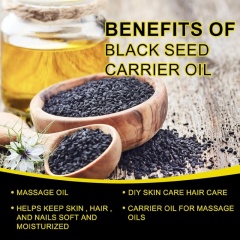 Pure Black Seed Oil | Strong Antioxidant Formula for Hair Care, Skin Nourishment & Immune Support,Pure Black Seed Oil | Strong Antioxidant Formula for Hair Care, Skin Nourishment & Immune Support 