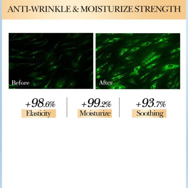 7% Glycolic Acid Toner Infused Ceramide | Exfoliate, Hydrate & Shrink Pores for Bright Smooth Skin,7% Glycolic Acid Toner Infused Ceramide | Exfoliate, Hydrate & Shrink Pores for Bright Smooth Skin 