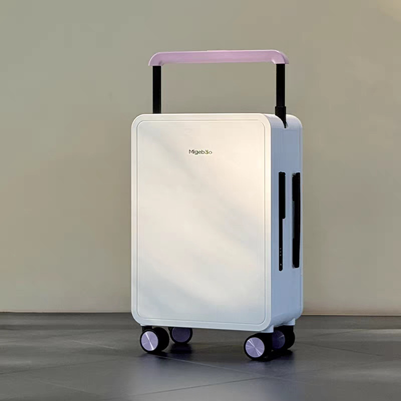 Wide-Handle PC Luggage with TSA Lock Small-Capacity Waterproof Travel Suitcase (20” & 25”)