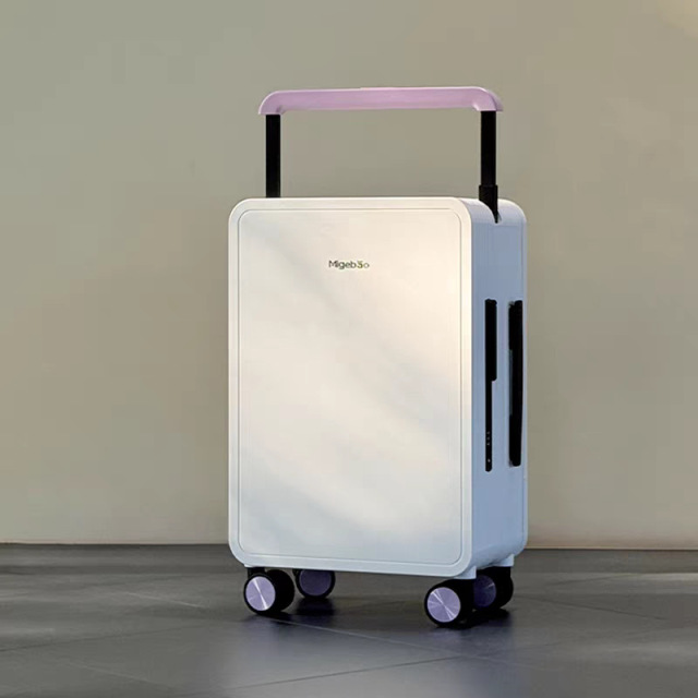 Wide-Handle PC Luggage with TSA Lock Small-Capacity Waterproof Travel Suitcase (20” & 25”)