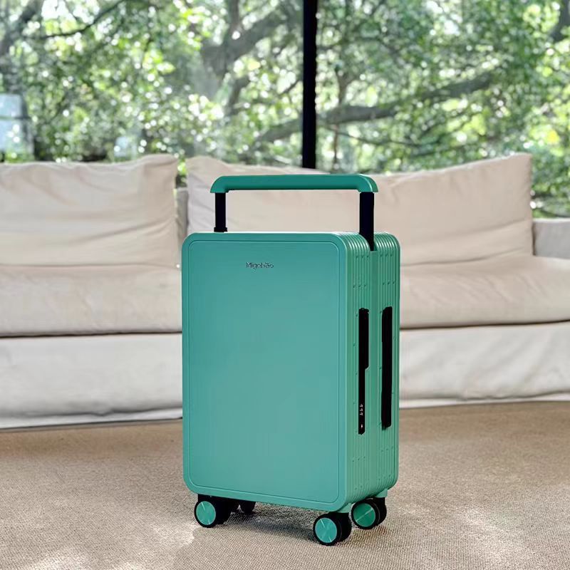 Wide-Handle PC Luggage with TSA Lock Small-Capacity Waterproof Travel Suitcase (20” & 25”)