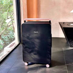 Wide-Handle PC Luggage with TSA Lock Small-Capacity Waterproof Travel Suitcase (20” & 25”)