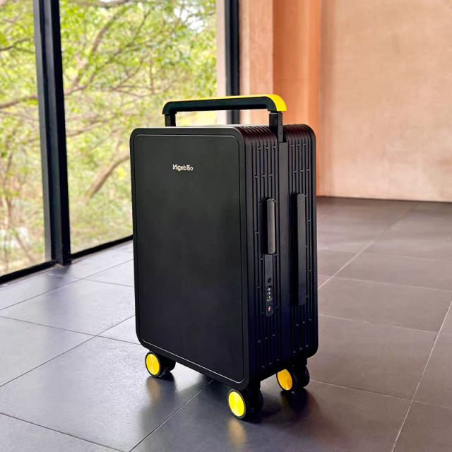 Wide-Handle PC Luggage with TSA Lock Small-Capacity Waterproof Travel Suitcase (20” & 25”)