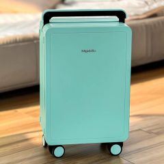 Wide-Handle PC Luggage with TSA Lock Small-Capacity Waterproof Travel Suitcase (20” & 25”)