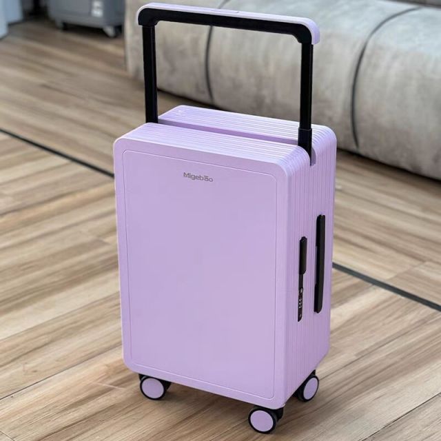 Wide-Handle PC Luggage with TSA Lock Small-Capacity Waterproof Travel Suitcase (20” & 25”)