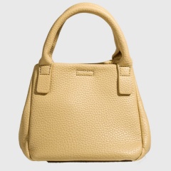 New High-Quality Bucket Handbag For Women, Unique And Stylish Shoulder/Crossbody Bag