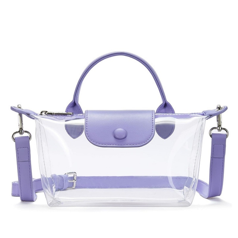 Factory Direct Wholesale – New Women's Transparent Mini Crossbody Bag, Casual & Fashionable Handbag
