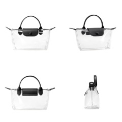 Factory Direct Wholesale – New Women's Transparent Mini Crossbody Bag, Casual & Fashionable Handbag