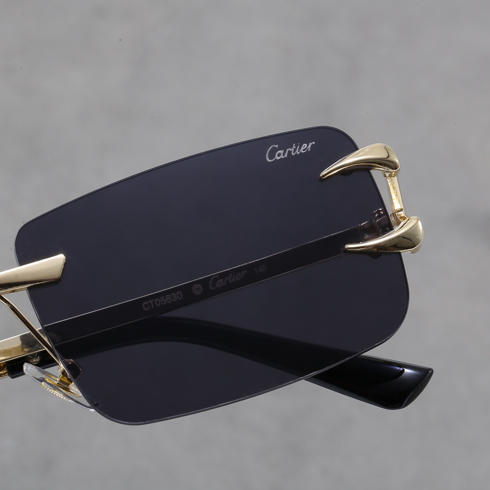 003 Cartier sunglasses