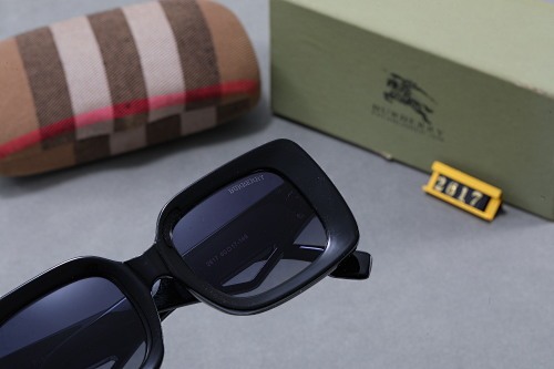 003 Burberry Sunglasses