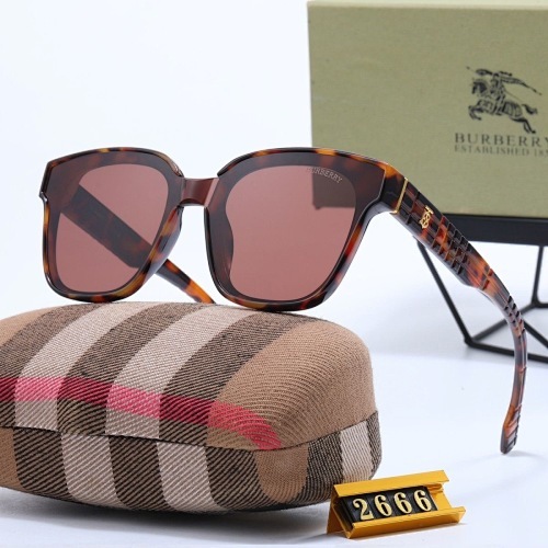 003 Burberry Sunglasses