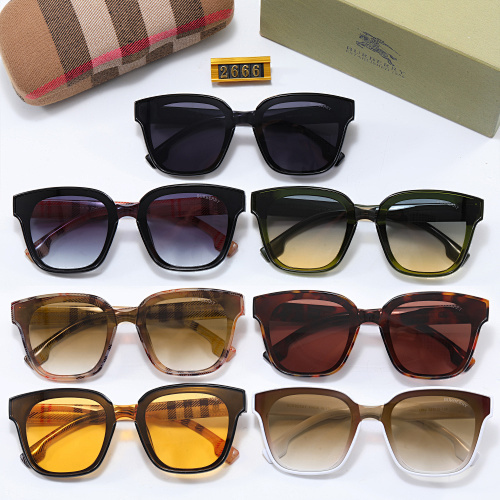 003 Burberry Sunglasses