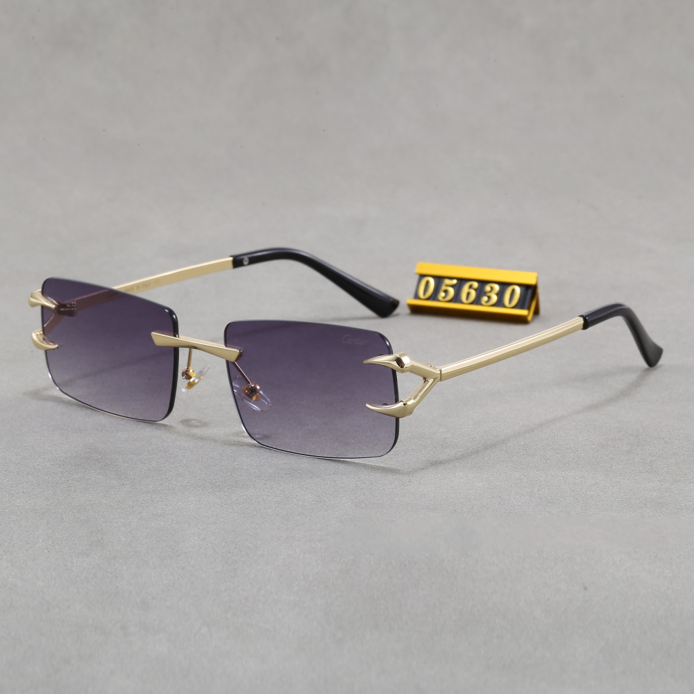 003 Cartier sunglasses