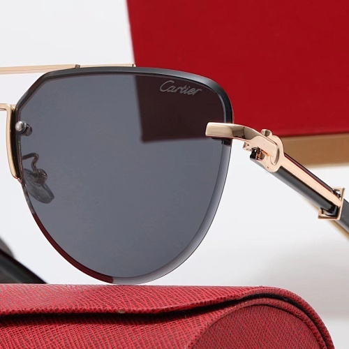 003 Cartier Sunglasses