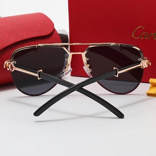 003 Cartier Sunglasses