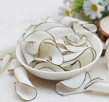Dried Sea Coconut Slices Natural Sea Coconut 3oz 海底椰片