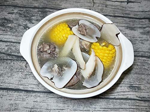 Dried Sea Coconut Slices Natural Sea Coconut 3oz 海底椰片