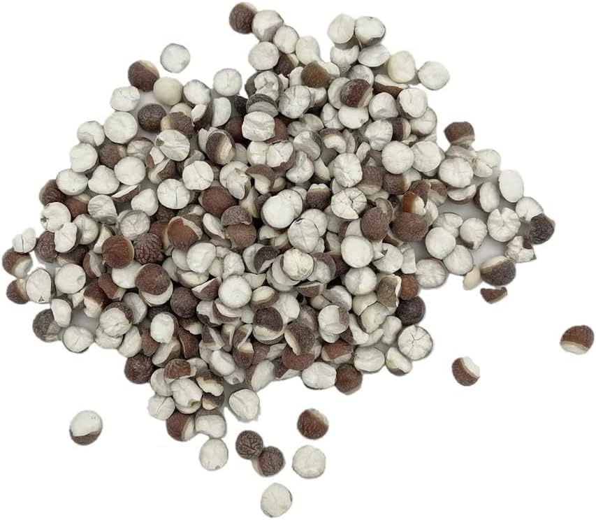 Qian Shi Euryale Ferox Salisb Dried Fox Nuts 芡实