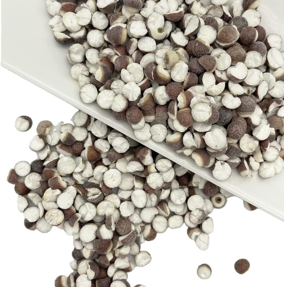 Qian Shi Euryale Ferox Salisb Dried Fox Nuts 芡实