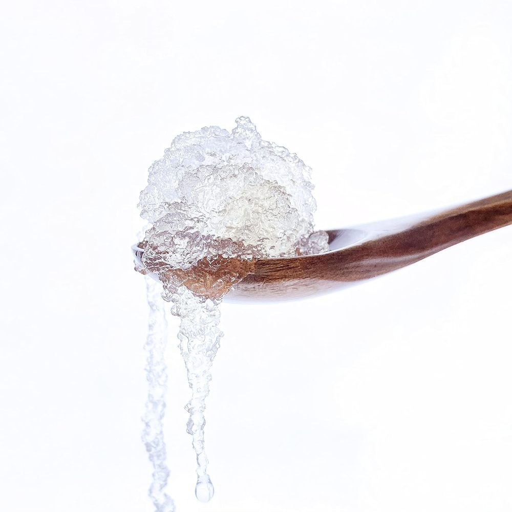 Wild Tragacanth Gum - “Snow Swallow” (Dried Xue Yan) 454g/16oz 特级雪燕