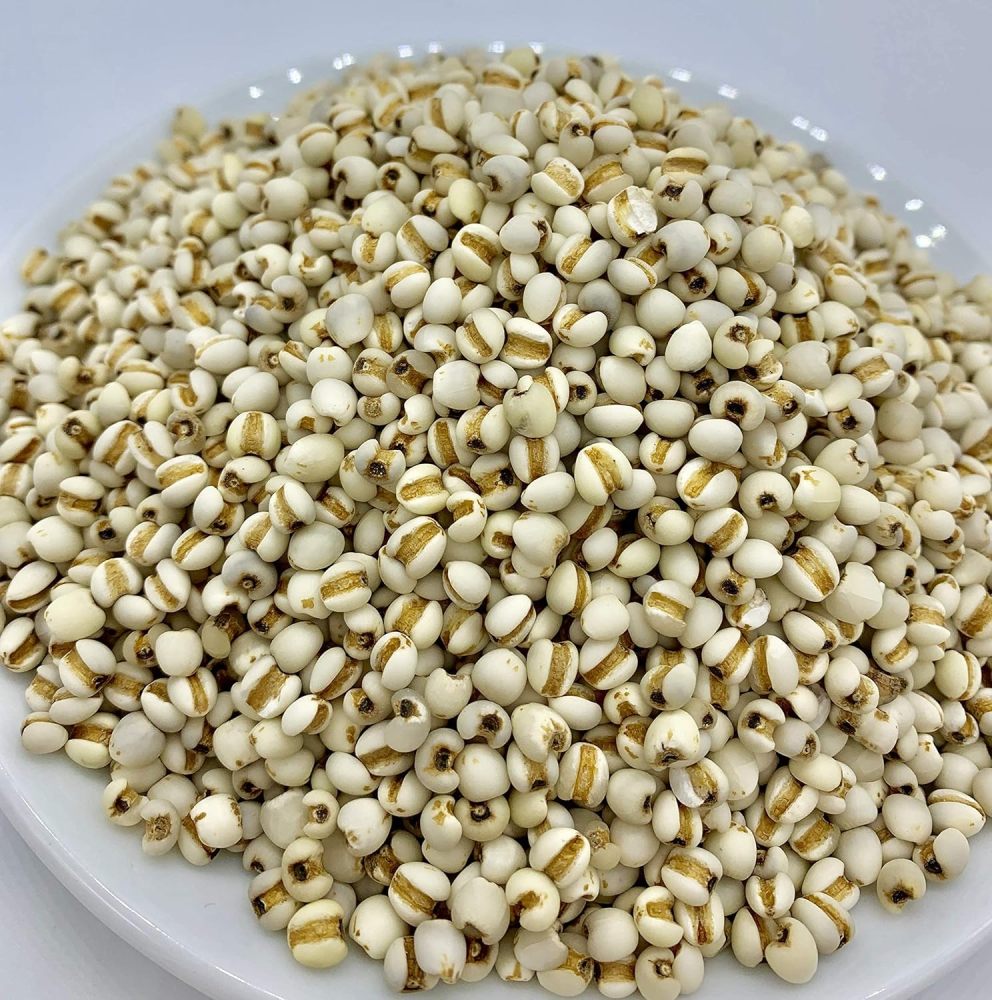 Natural Adlay Millet Job's Tears Coixseed Semen Coicis 生薏米 12oz