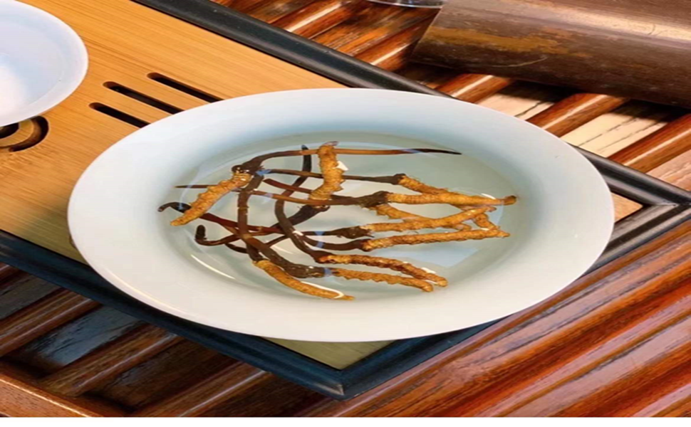 Wild Tibet Cordyceps Sinensis (Dong Chong Xia Cao) 0.5oz(14.15g) 规格6000条/kg