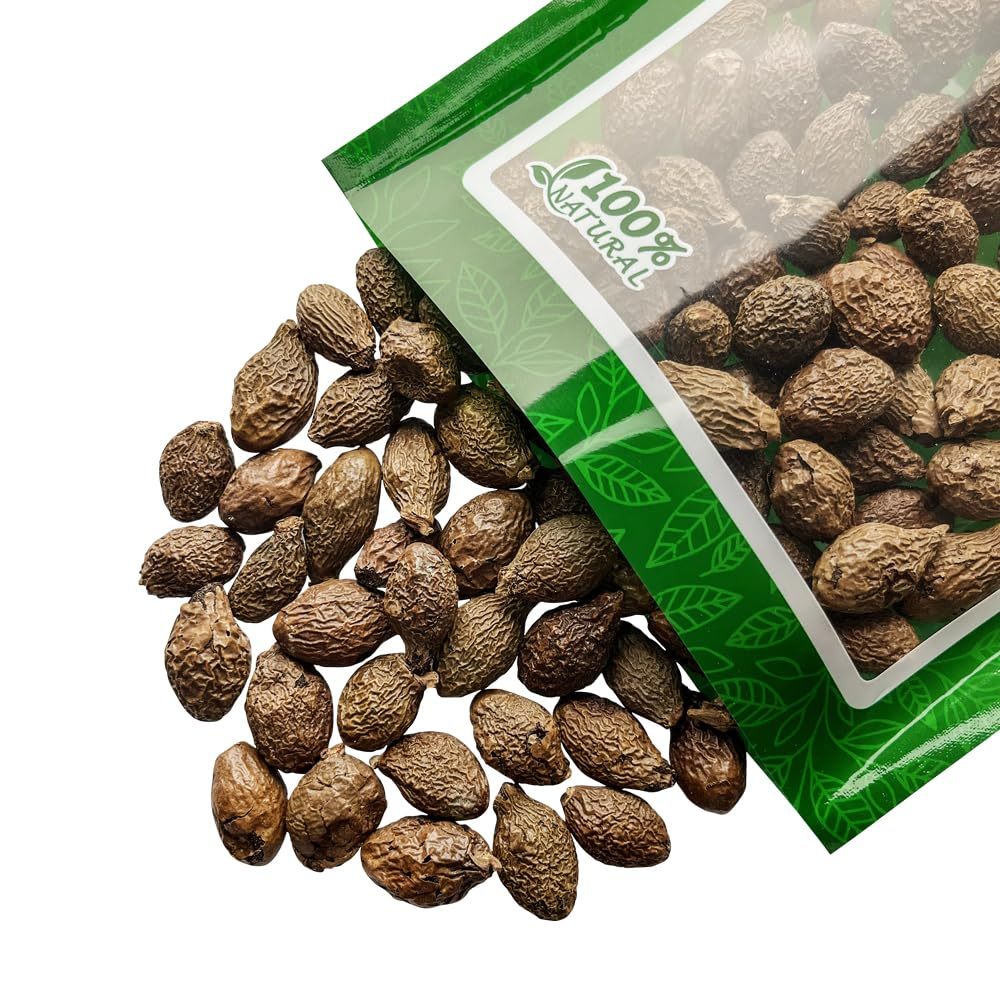 Malva Nut Dried Sterculia Lychnophora 6oz - Pang Da Hai 大海子/ 胖大海