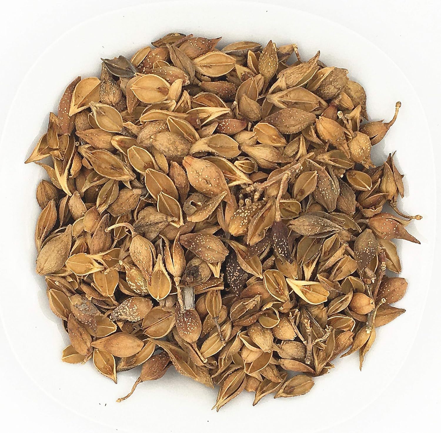 ​Dried Forsythia Fruit (Lian Qiao) - 100% Natural | Traditional Chinese Herb | Tea Ingredient & Herbal Remedy​ 连翘