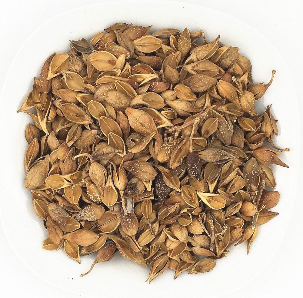 ​Dried Forsythia Fruit (Lian Qiao) - 100% Natural | Traditional Chinese Herb | Tea Ingredient & Herbal Remedy​ 连翘