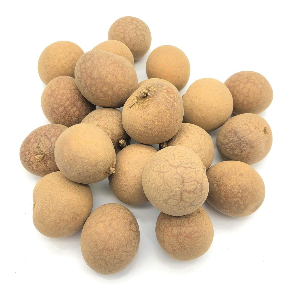 Premium Dried Longan with Shell 16oz - Whole Unshelled Fruit for Tea & Desserts, 带壳龙眼肉, Resealable Bag (Sun-Dried, Sweet Amber Flesh, Shell for Infusion)