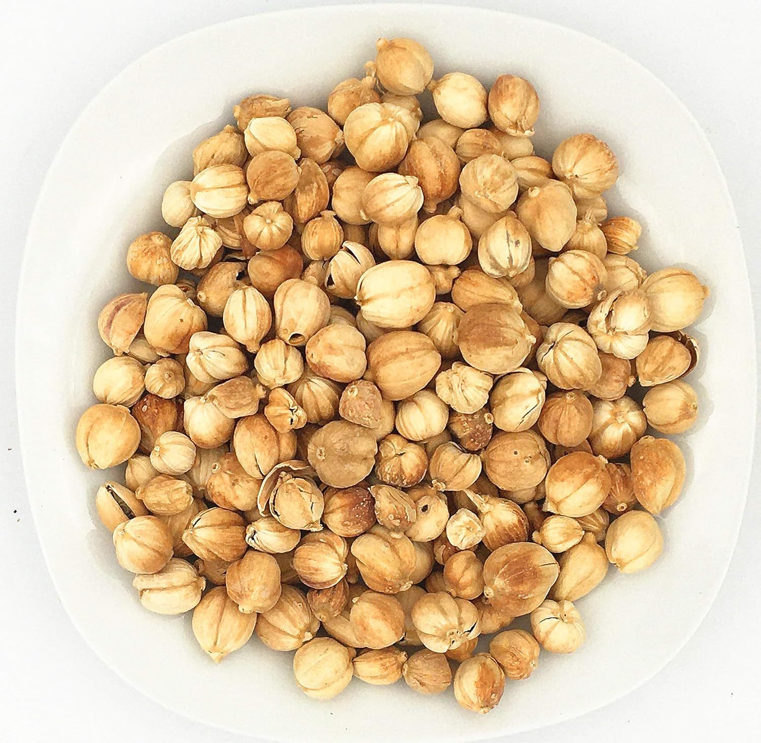 Elettaria Cardamomum, Fructus Amomi Rotundus, Amomum Cardamomum Bai Dou Kou 白豆蔻 16oz