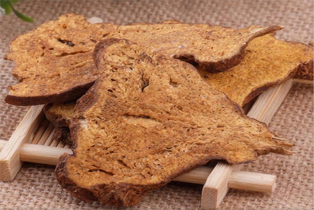 Atractylodes Bai Zhu 白术 - Premium Chinese Dried Herbs - Atractylodes Rhizome Tea - Cut Slices Bai Zhu - Natural Herbal Tea 炒白术 16 OZ