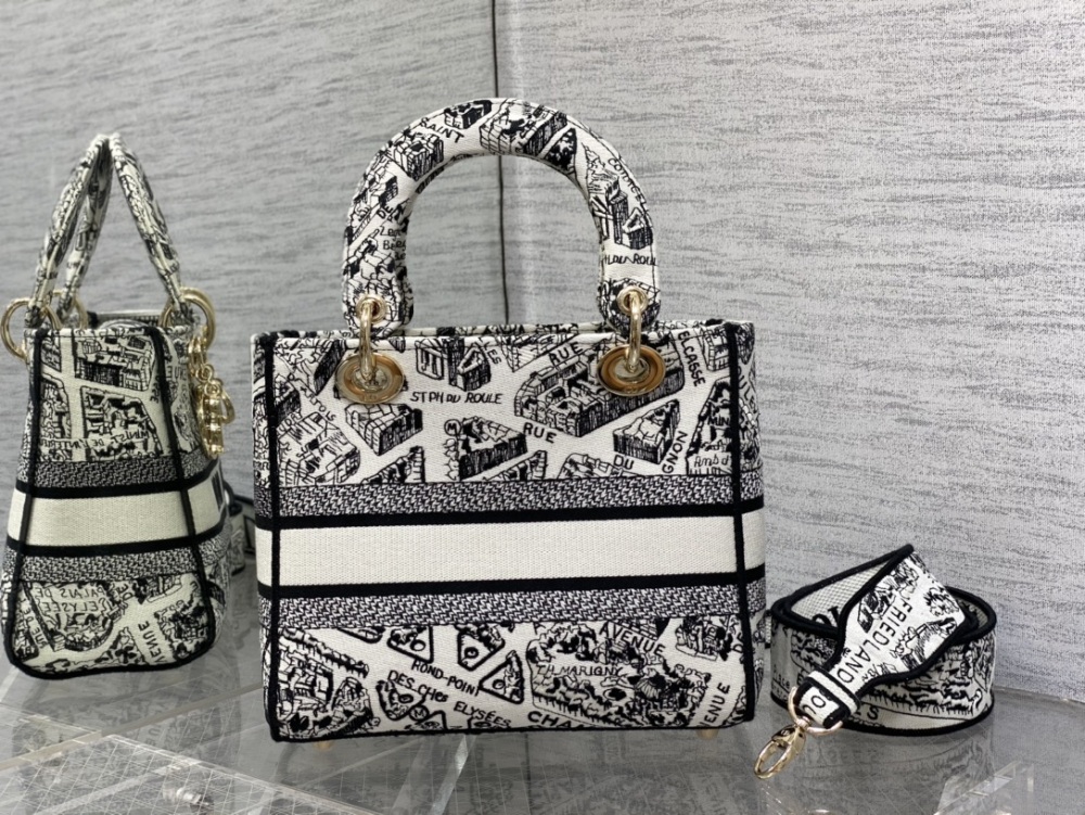 DIOR's latest Paris map, featuring five grid Diana in stock Lady Paris map embroidery series, featuring French romantic elements, unique floral embroidery, and exquisite craftsmanship