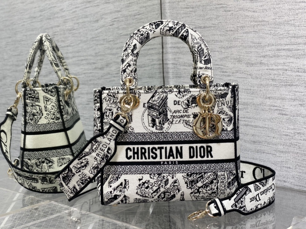 DIOR's latest Paris map, featuring five grid Diana in stock Lady Paris map embroidery series, featuring French romantic elements, unique floral embroidery, and exquisite craftsmanship