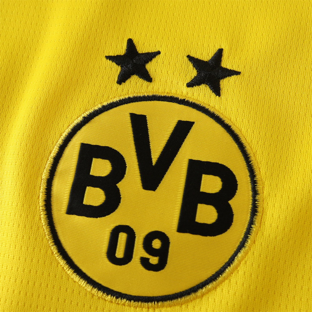 2425 season Borussia Dortmund Champions League version Fan version