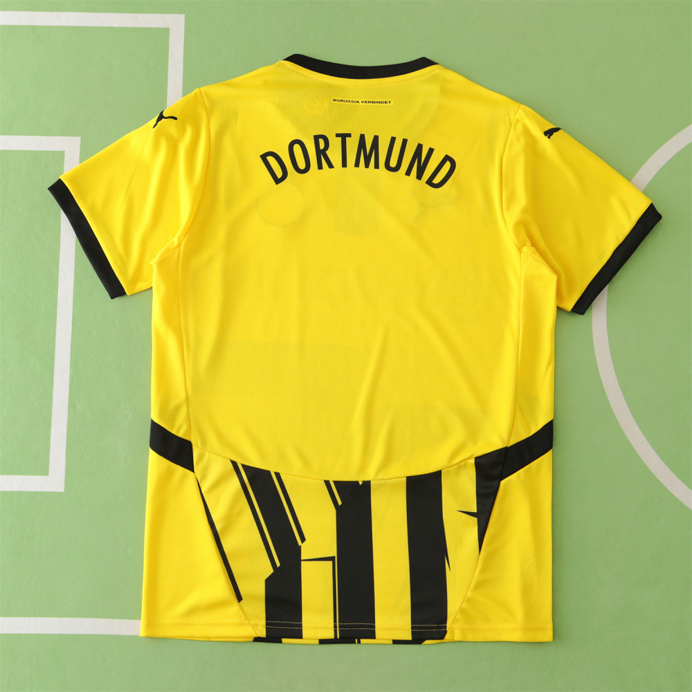 2425 season Borussia Dortmund Champions League version Fan version