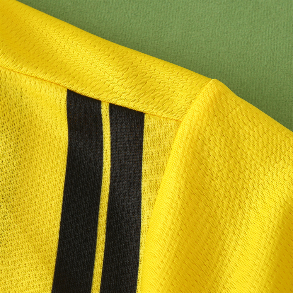 2425 season Borussia Dortmund Champions League version Fan version