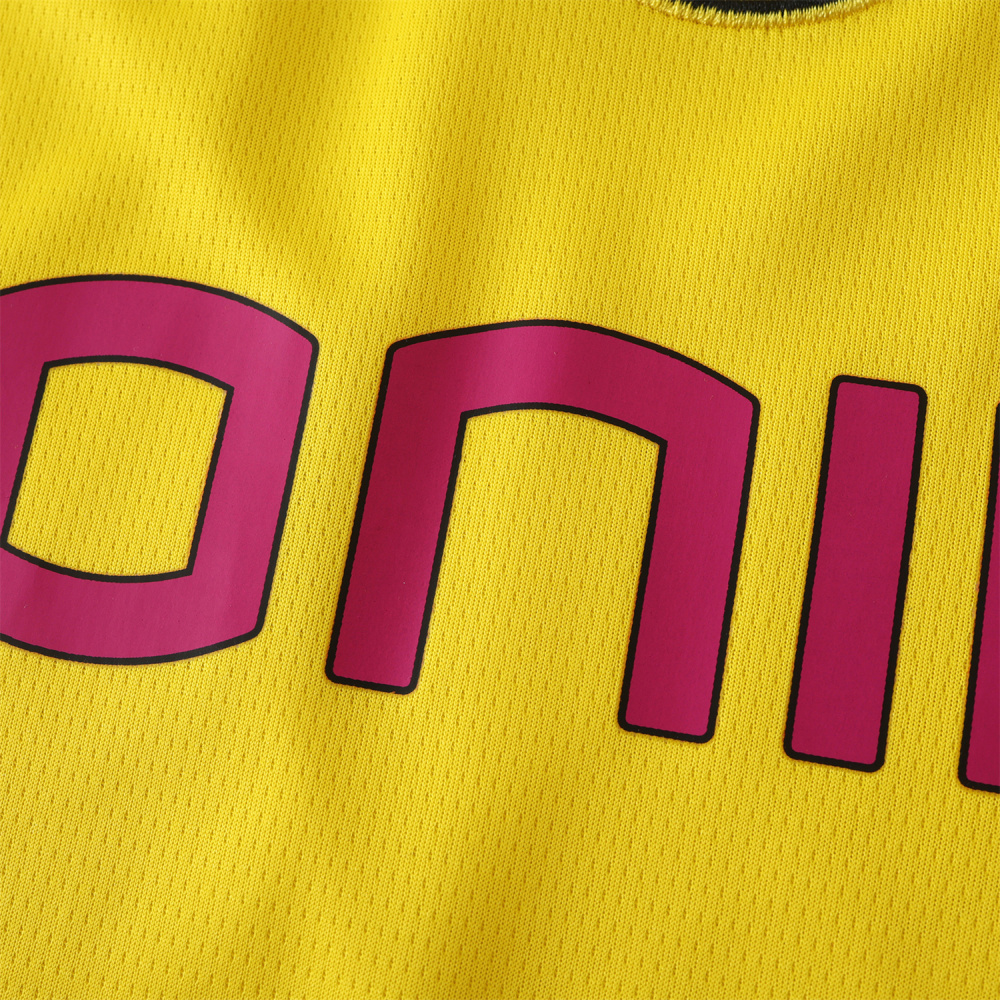 2425 season Borussia Dortmund Champions League version Fan version