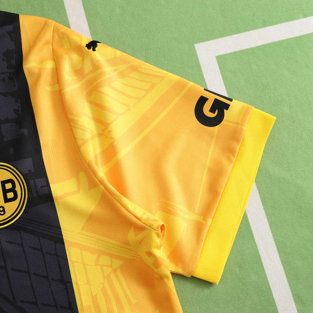 2324 season Dortmund Special edition Fan version