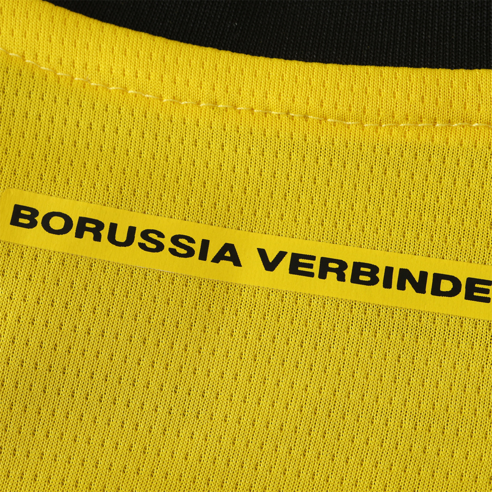 2425 season Borussia Dortmund Champions League version Fan version