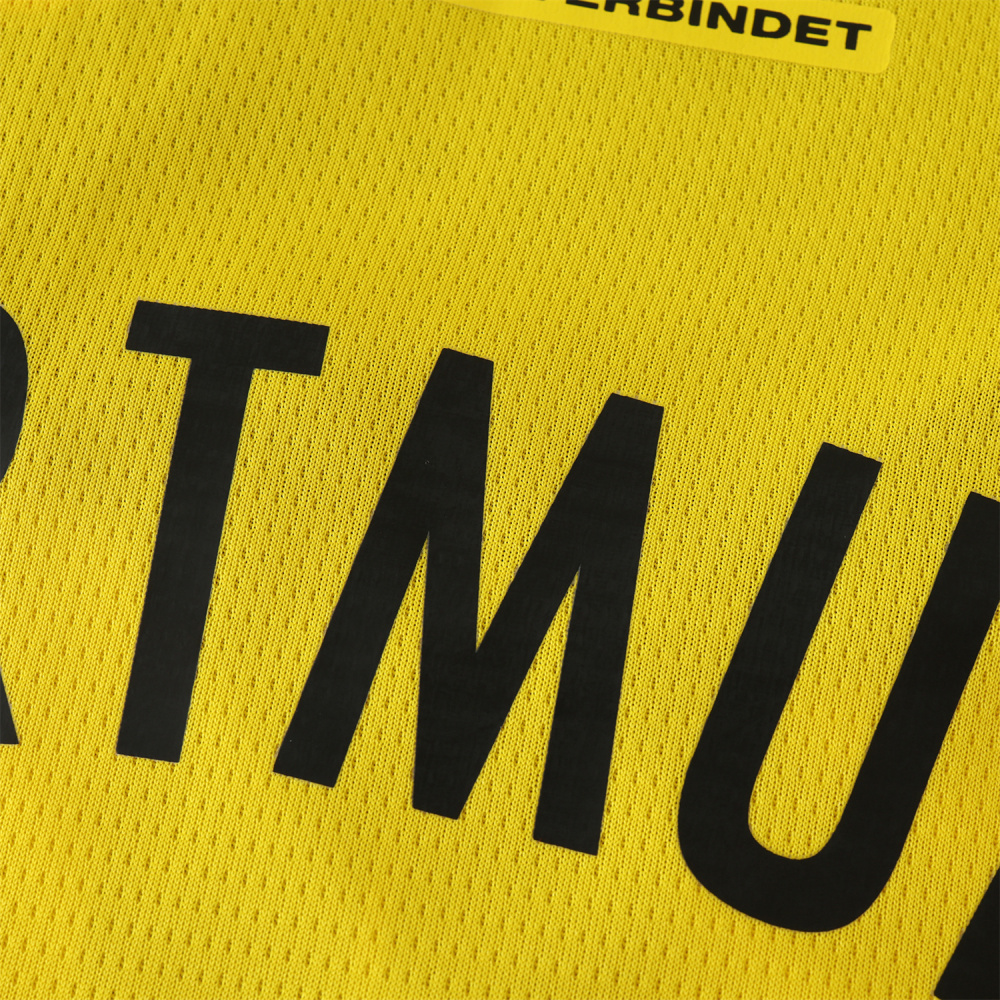 2425 season Borussia Dortmund Champions League version Fan version