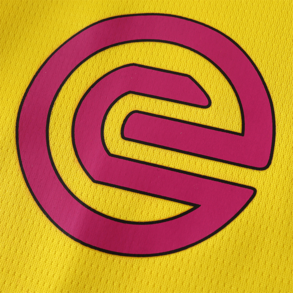 2425 season Borussia Dortmund Champions League version Fan version