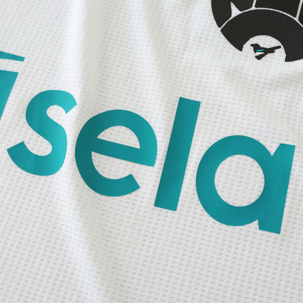 2425 season Newcastle United F.C. third Player version