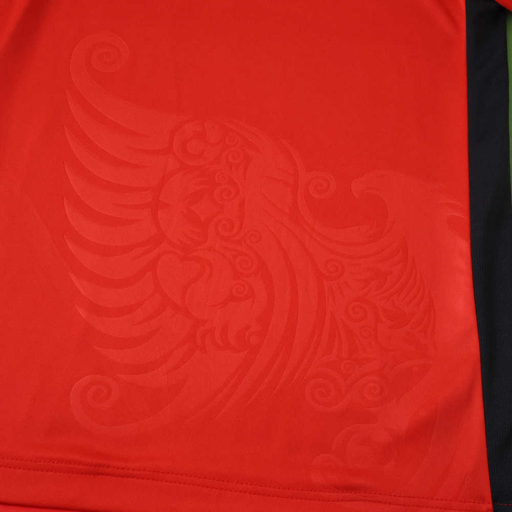 2526 season Albania home Fan version