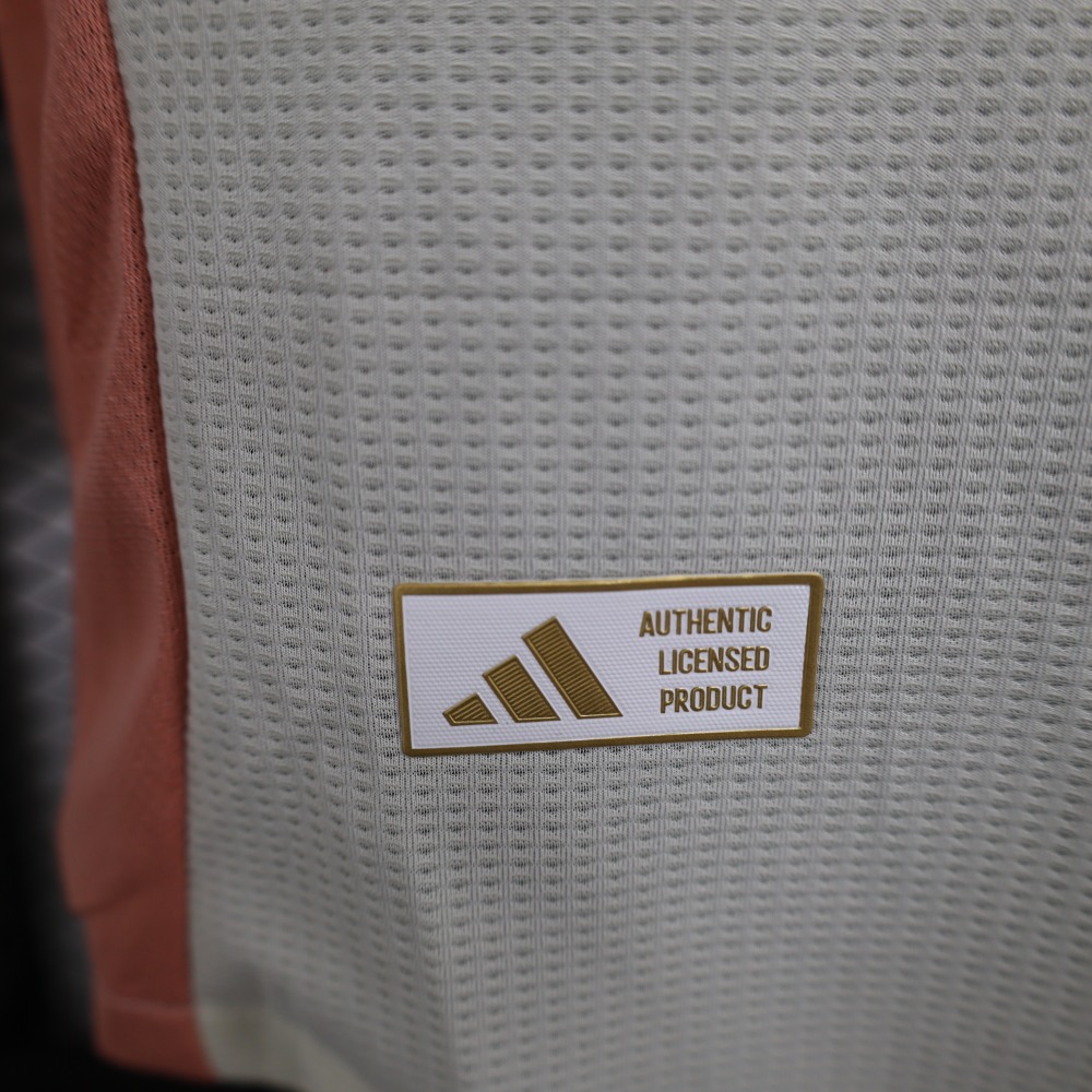 (S-3XL) 1:1 Copy Top Quality 2025/2026 Player: Lyon's second away kit