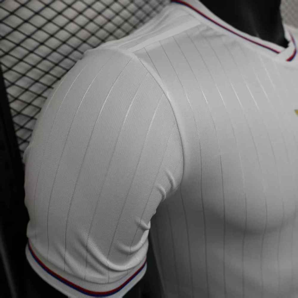 (S-3XL) 1:1 Copy Top Quality 2025/2026 Player: Lyon Anniversary Edition